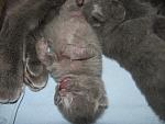     
: IMG_3758.jpg
: 4
:	157.3 
ID:	5326239