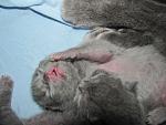     
: IMG_3761.jpg
: 8
:	98.3 
ID:	5326240