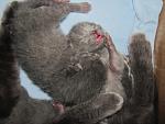     
: IMG_3760.jpg
: 3
:	101.9 
ID:	5326247