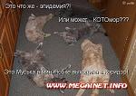    
: www.megainet.info_9980_prikolnye-kartinki-s-nadpisyami.jpg
: 6
:	39.8 
ID:	5335222