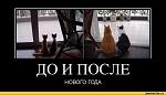     
: котэ-новый-год-п&.jpeg
: 6
:	41.8 
ID:	5335228