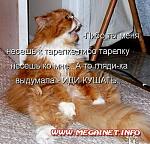     
: www.megainet.info_9983_smeshnye-foto-koshek-s-nadpisyami.jpg
: 1
:	52.2 
ID:	5335231