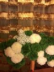     
: 2012-12-08 16.21.42.jpg
: 11
:	101.2 
ID:	5335304