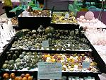     
: P1270537.jpg
: 17
:	220.7 
ID:	5338266