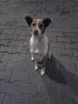     
: Фото0292.jpg
: 12
:	59.8 
ID:	5338634