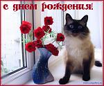     
: c-dnem-rozhdeniya.jpg
: 4
:	73.7 
ID:	5341116