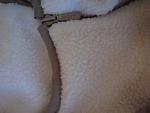     
: P071212_15.41_[02].jpg
: 34
:	32.1 
ID:	5341193