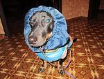     
: IMG_0573.jpg
: 5
:	154.8 
ID:	5341782