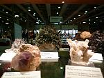     
: P1270487.jpg
: 20
:	140.9 
ID:	5342972