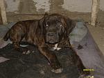     
: S7300286.jpg
: 101
:	145.3 
ID:	534518