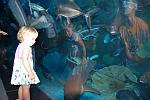     
: DSC_4341.jpg
: 9
:	123.1 
ID:	5349595
