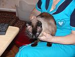     
: P1070735.jpg
: 3
:	143.2 
ID:	5354717