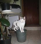     
: Изображение 119.jpg
: 5
:	58.8 
ID:	5356754