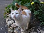     
: P1010048.jpg
: 27
:	171.5 
ID:	5361284