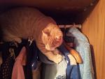     
: 20121118_225505.jpg
: 8
:	101.0 
ID:	5361658