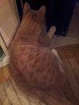     
: 20121211_232352.jpg
: 8
:	68.4 
ID:	5361659