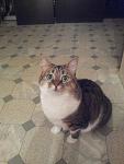     
: 20121211_231941.jpg
: 6
:	79.9 
ID:	5361710