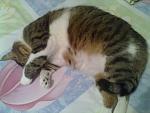     
: 03062012059.jpg
: 11
:	97.5 
ID:	5361712