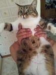     
: 20120610_155151.jpg
: 8
:	71.8 
ID:	5361720