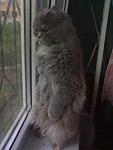     
: 10072007-001.jpg
: 7
:	74.4 
ID:	5361730