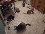     
: 20121123_224801.jpg
: 7
:	119.1 
ID:	5361735