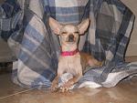     
: DSCN5096.jpg
: 4
:	166.4 
ID:	5364463