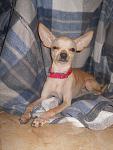     
: DSCN5095.jpg
: 6
:	108.2 
ID:	5364464