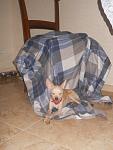     
: DSCN5099.jpg
: 6
:	99.4 
ID:	5364467