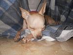     
: DSCN5092.jpg
: 7
:	145.8 
ID:	5364468