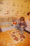     
: опилки 3.jpg
: 10
:	107.7 
ID:	5366950