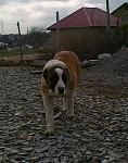     
: 13122012952.JPG
: 9
:	86.5 
ID:	5367218