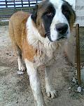     
: 13122012958.JPG
: 8
:	139.1 
ID:	5367254