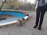     
: 11102009354.jpg
: 52
:	244.2 
ID:	536914