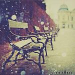     
: 577.jpeg
: 8
:	48.5 
ID:	5371719