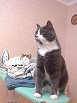     
: IMAGE_831.jpg
: 7
:	81.7 
ID:	5371832