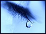     
: big.jpeg
: 9
:	26.1 
ID:	5372648