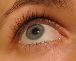     
: DSC_8715.JPG
: 46
:	206.0 
ID:	5377102