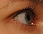     
: DSC_8717.JPG
: 52
:	143.2 
ID:	5377103