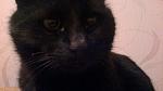     
: 14122012064.jpg
: 13
:	121.4 
ID:	5379704