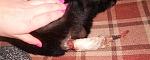     
: r27o3sHg72U.jpg
: 10
:	44.4 
ID:	5381294