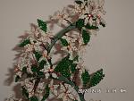     
: SAM_2860.jpg
: 10
:	138.3 
ID:	5382549