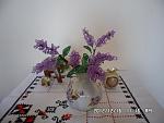     
: SAM_2870.jpg
: 12
:	111.1 
ID:	5382572