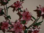    
: SAM_2879.jpg
: 13
:	166.1 
ID:	5382719