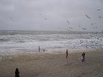     
: 2012-12-16 14-34-40.jpg
: 12
:	104.8 
ID:	5384329
