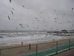     
: 2012-12-16 14-34-20.jpg
: 17
:	76.3 
ID:	5384339