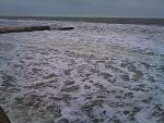     
: DSC_1301.jpg
: 25
:	143.3 
ID:	5385074