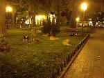     
: odessa 2012 524.jpg
: 10
:	196.7 
ID:	5385417