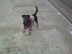     
: Фото-0378.jpg
: 3
:	225.6 
ID:	5387014