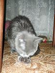     
: SNC06469.jpg
: 8
:	129.2 
ID:	5387527