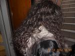     
: DSCN1758.jpg
: 20
:	177.1 
ID:	5388829